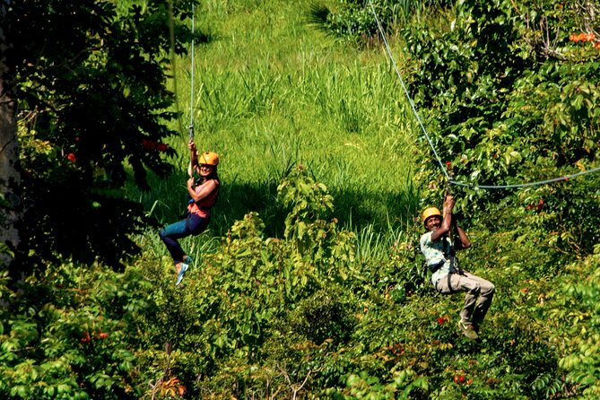 Big Island: 8-Zipline & Suspension Bridge Waterfall Adventure - What the $237.70 price really includes