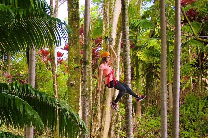 Big Island: 8-Zipline & Suspension Bridge Waterfall Adventure - Family rules, weight limits, and physical demands