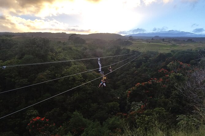 Big Island: 8-Zipline & Suspension Bridge Waterfall Adventure - The final lines race beside Kamaee Falls