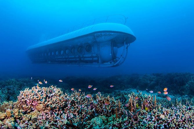 Big Island: Atlantis Submarine from Kona Beach - What the Atlantis submarine actually offers
