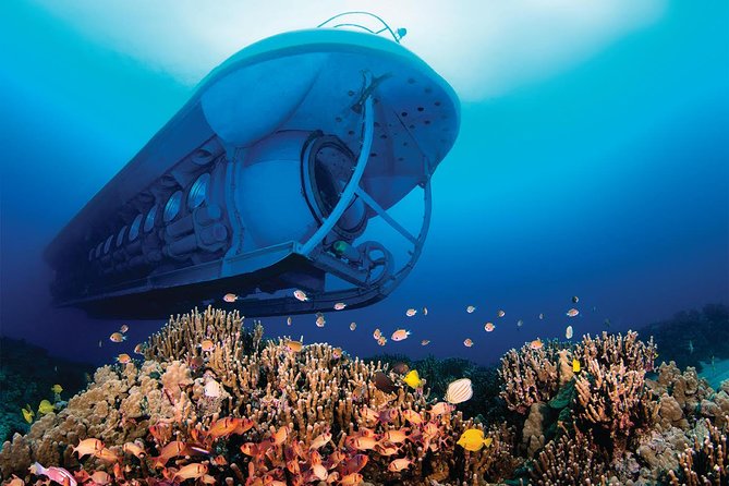 Big Island: Atlantis Submarine from Kona Beach - Weather, cancellations, and timing
