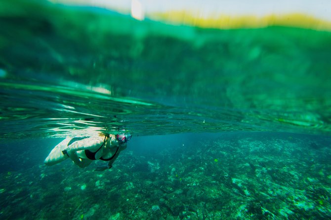 Big Island: Captain Cook Snorkel On A Power Catamaran With Lunch - Key Points Before You Book