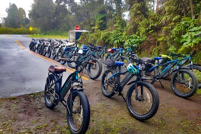 Big Island: Fat Tire E-Bike Tour through Volcanoes National Park - Stops, Photos, and the Three-Hour Pace