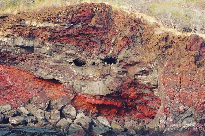 Big Island Historical Dinner Cruise to Kealakekua Bay - Dinner, local flavors, and what to expect on the plate