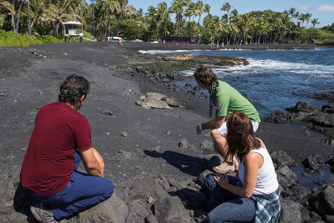 Big Island in a Day: Volcanoes Waterfalls Sightseeing and History - Lunch, van comfort, and the pace of the day