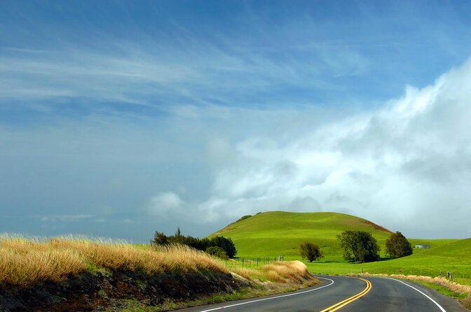 Big Island Kohala Canopy Zipline Adventure - Key points to know before booking