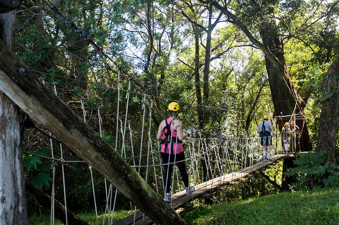 Big Island Kohala Canopy Zipline Adventure - Eight ziplines, with a stronger finish