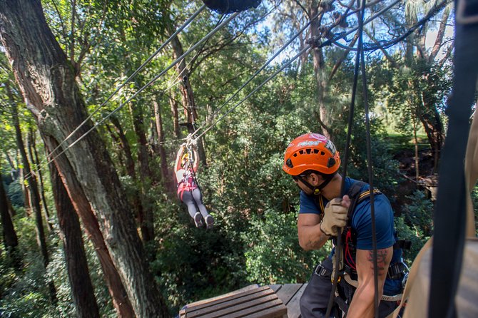 Big Island Kohala Canopy Zipline Adventure - The guides shape the whole outing