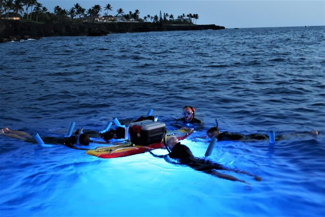 Big Island: Kona Manta Ray Snorkel Tour in Keauhou Harbor - The guides, safety, and group size