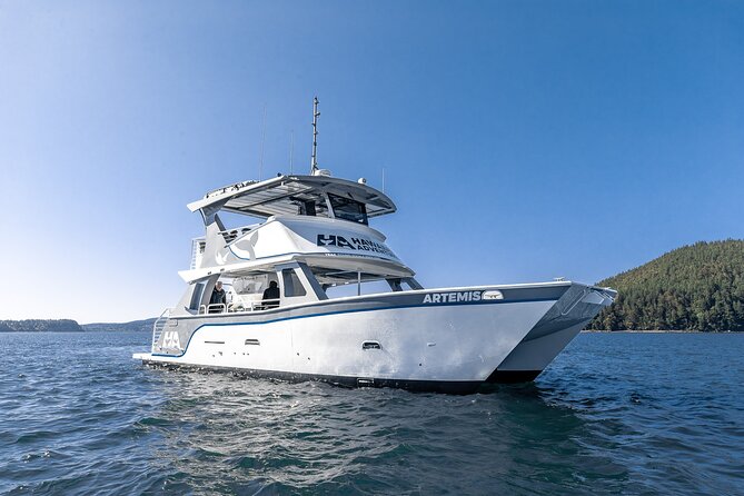 Big Island: Pelagic Whale Watch Tour - Why Kona is a strong place for a wildlife cruise