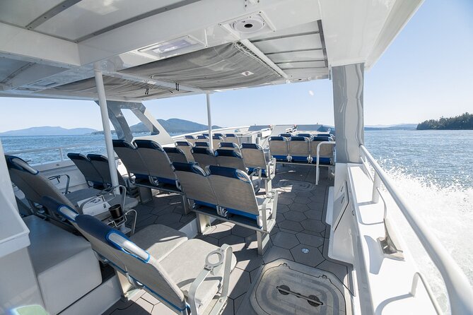 Big Island: Pelagic Whale Watch Tour - The nearshore search: humpbacks, dolphins, rays, and flying fish