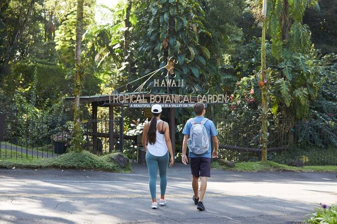 Big Island Waterfalls Tour with Swimming and Botanical Garden - Kulaniapia Falls and the swim that makes the day different
