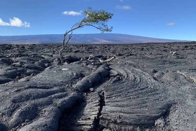 Big Island Waterfalls Tour with Swimming and Botanical Garden - Rainbow Falls and the return over Saddle Road