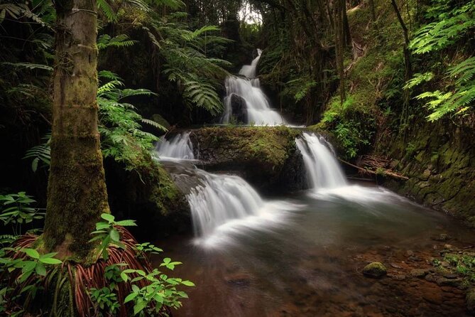 Big Island Waterfalls Tour with Swimming and Botanical Garden - The van, guides, meals, and timing