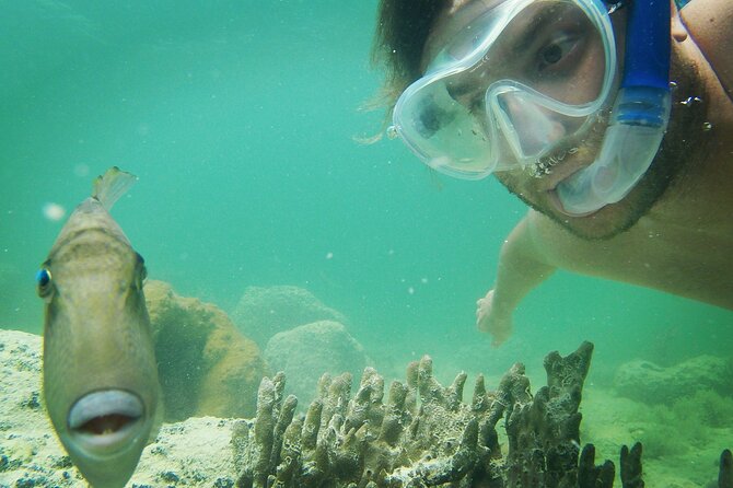 Biologist Owned & Operated: Dolphin Watching & Guided Snorkeling - Fresh snacks and a comfortable return ride