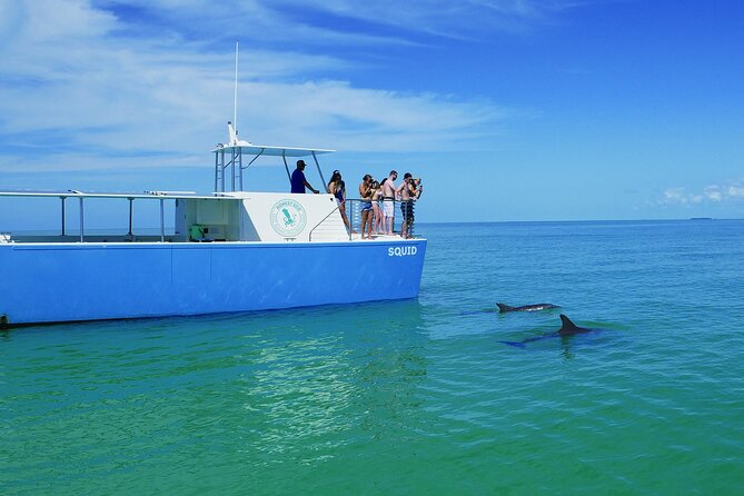 Biologist Owned & Operated: Dolphin Watching & Guided Snorkeling - Who should book this dolphin and snorkel trip?