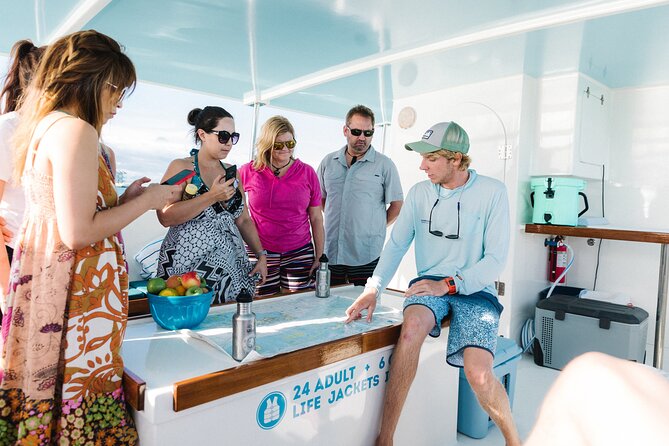 Biologist Owned & Operated: Dolphin Watching & Guided Snorkeling - Finding more than 200 wild bottlenose dolphins