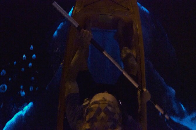 Bioluminescence Kayak Tour - What makes this night paddle special