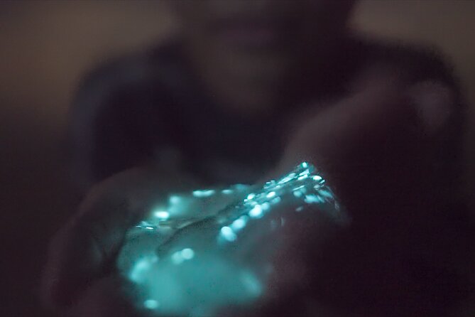 Bioluminescence Kayak Tour - A natural show with very uneven results