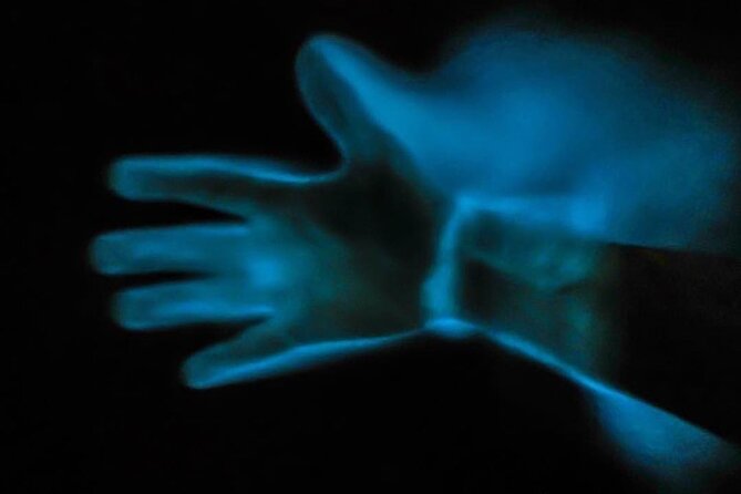 Bioluminescence Kayak Tour - Guides make or break the evening