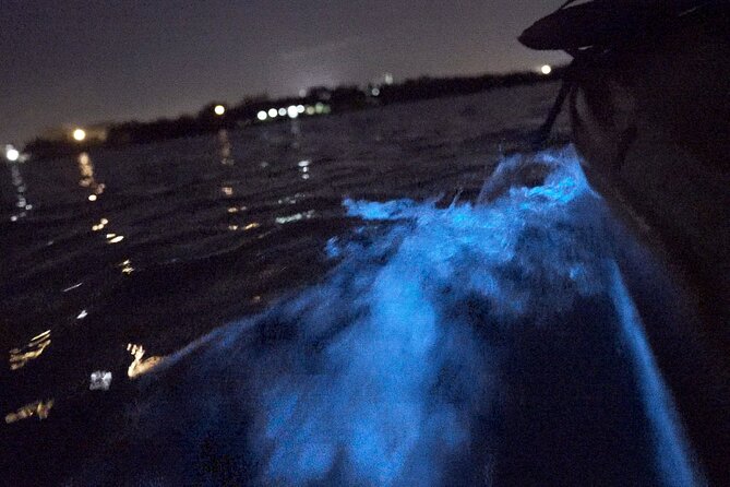 Bioluminescence Kayak Tour - What to wear and what to carry
