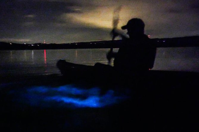 Bioluminescence Night Kayaking Tour of Merritt Island Wildlife Refuge - Weather delays deserve serious attention