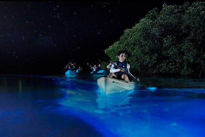 Bioluminescence Night Kayaking Tour of Merritt Island Wildlife Refuge - The first strokes into the refuge