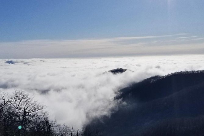 Blue Ridge Parkway Waterfalls Hiking Tour from Asheville - Tony’s guiding makes the short day feel personal