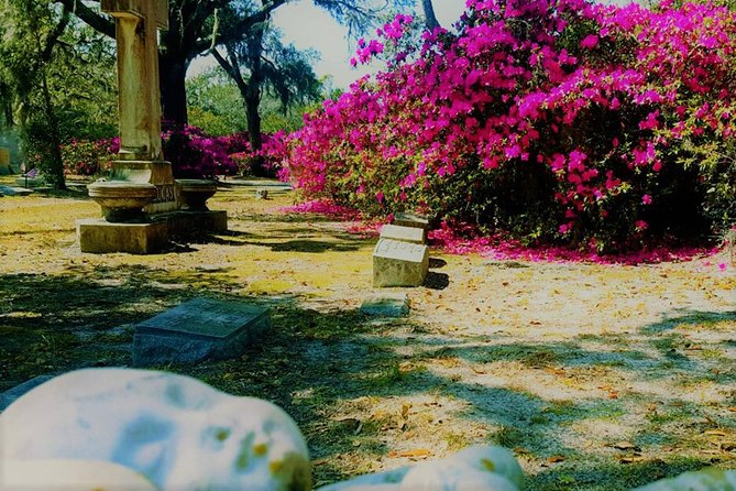 Bonaventure Cemetery Scenic History Art Symbols and Film Tour - Who should book this walk?