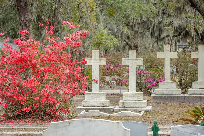 Bonaventure Cemetery & Wormsloe State Historic Site Tour - Is $59.06 a good value?