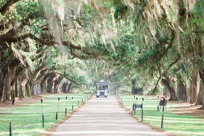 Boone Hall Plantation All-Access Admission Ticket - The 1935 house and its short first-floor tour