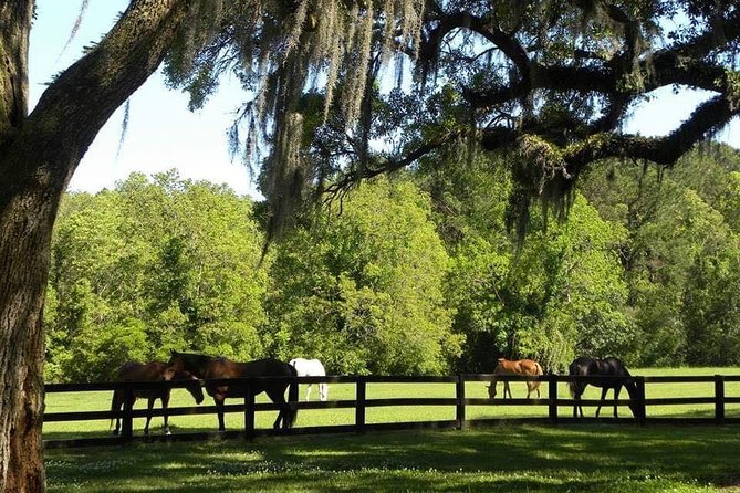 Boone Hall Plantation All-Access Admission Ticket - Seeing the property by tractor