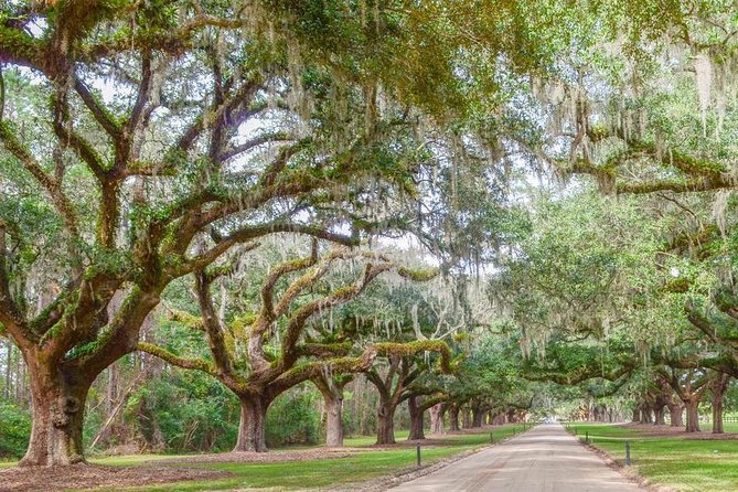 Boone Hall Plantation All-Access Admission Ticket - Is the $36.50 ticket good value?