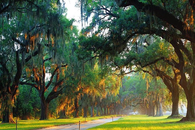 Boone Hall Plantation All-Access Admission Ticket - The cabins and Black History in America exhibit