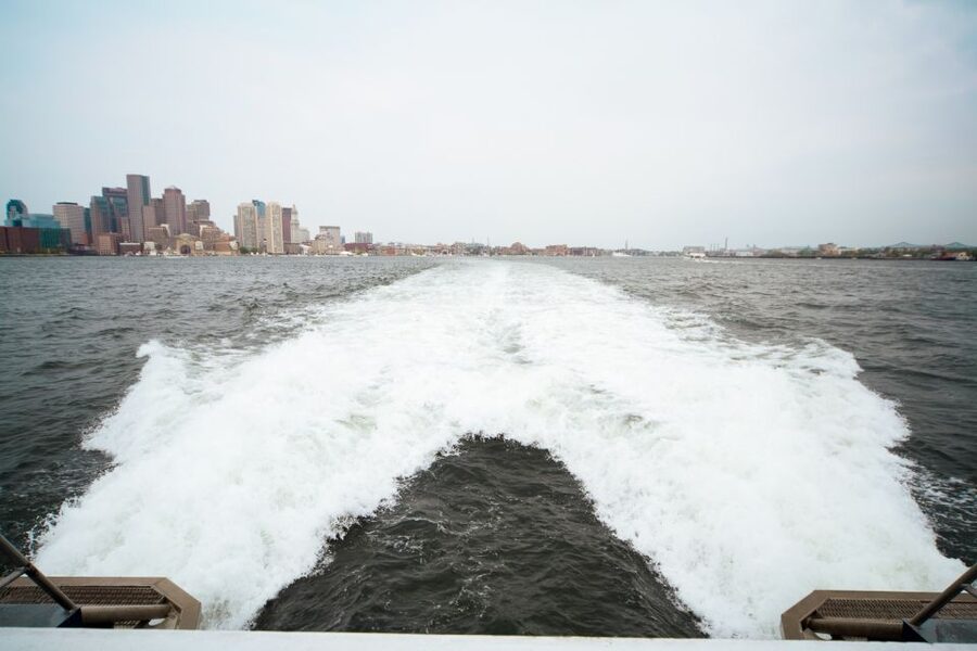 Boston: City Cruises Whale Watching Cruise - Key points to know before boarding