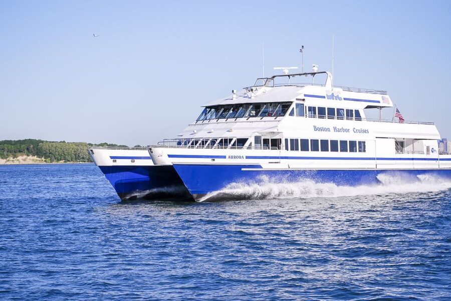 Boston: City Cruises Whale Watching Cruise - The naturalists make the long ride worthwhile