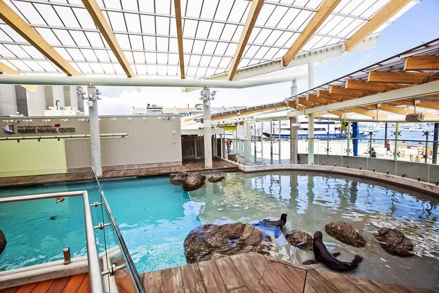 Boston: New England Aquarium Entry + Optional Simons Theatre - The Giant Ocean Tank gives the aquarium its shape