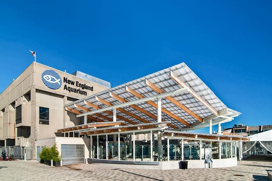 Boston: New England Aquarium Entry + Optional Simons Theatre - Make time for the harbor seals and sea lions