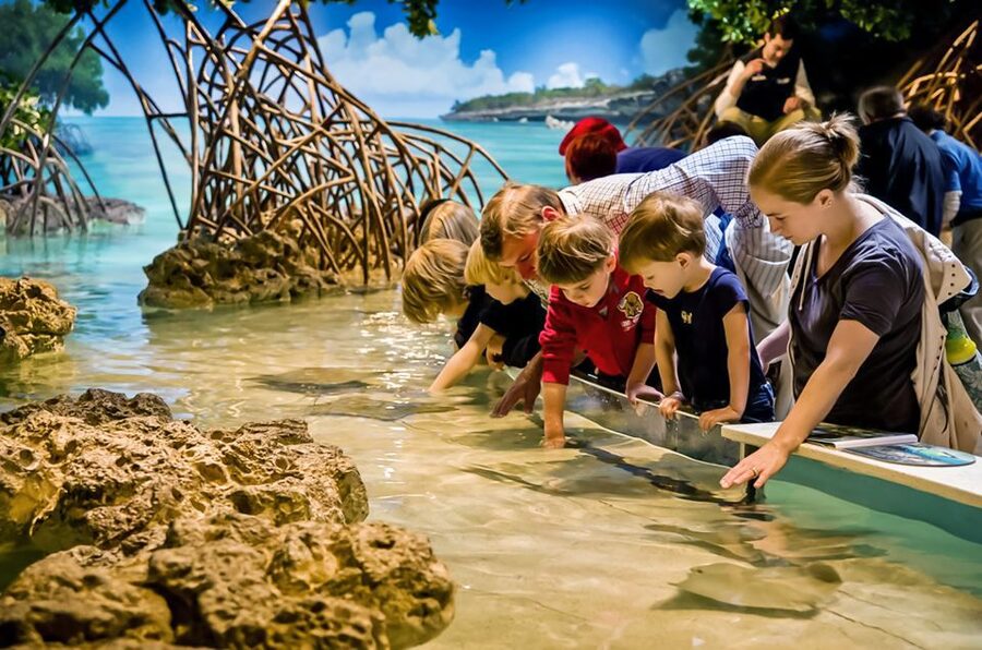 Boston: New England Aquarium Entry + Optional Simons Theatre - Add the Simons Theatre if you want a second attraction