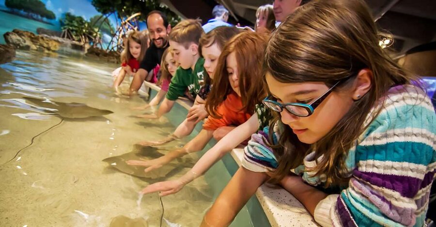 Boston: New England Aquarium Entry + Optional Simons Theatre - Entry, price, and practical planning