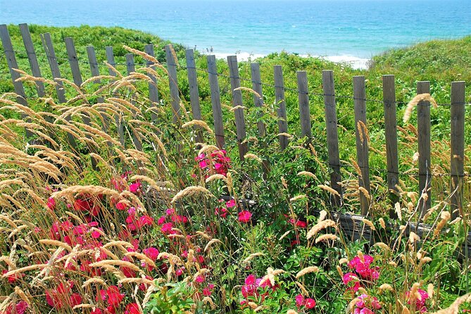 Boston to Martha's Vineyard Day Trip with Optional Island Tour - Vineyard Haven and Seasonal Ferry Changes