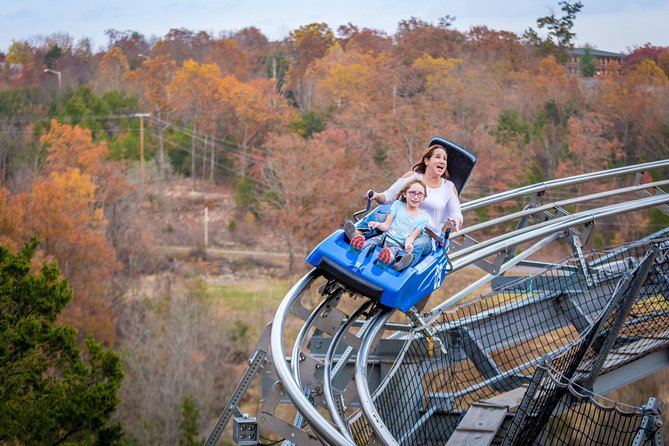 Branson Alpine Mountain Coaster Ticket - Price, timing, and the question of value
