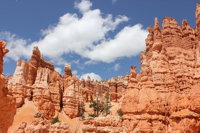 Bryce Canyon & Zion National Park from Las Vegas with Lunch, WiFi - The Zion-Mount Carmel Highway and its famous tunnel