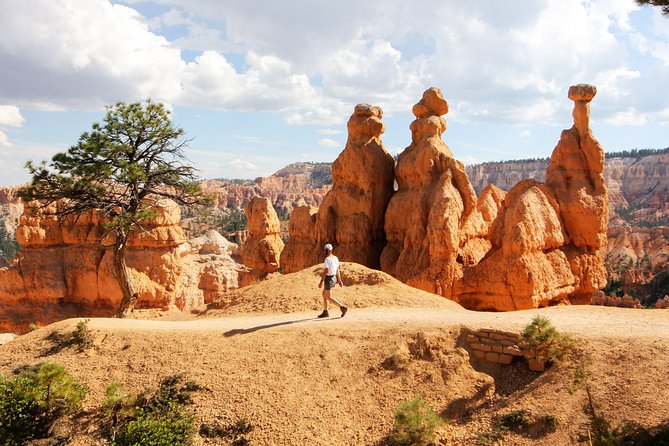 Bryce Canyon & Zion National Park from Las Vegas with Lunch, WiFi - Checkerboard Mesa: ten minutes of unusual geology
