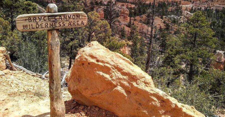 Bryce: Guided Sightseeing Tour of Bryce Canyon National Park - Why a guide helps at Bryce Canyon