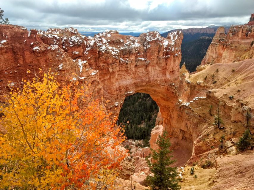 Bryce: Guided Sightseeing Tour of Bryce Canyon National Park - Natural Bridge and the high plateau view