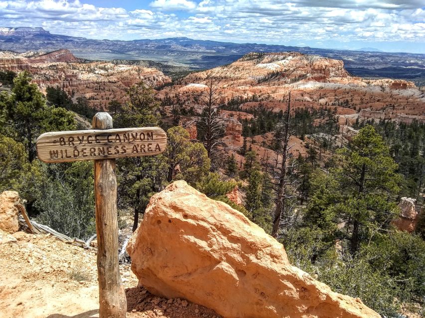 Bryce: Guided Sightseeing Tour of Bryce Canyon National Park - The Cathedral and conglomerate sections