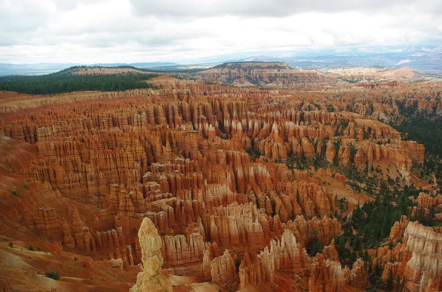 Bryce: Guided Sightseeing Tour of Bryce Canyon National Park - What the minivan format is really worth