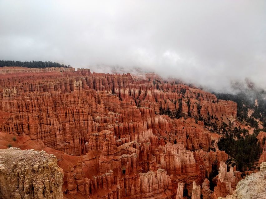 Bryce: Guided Sightseeing Tour of Bryce Canyon National Park - The value of $79, plus the park fee