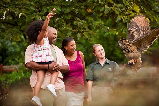 Busch Gardens Williamsburg Admission Ticket - Food from Pigs in a Kilt to Das Festhaus